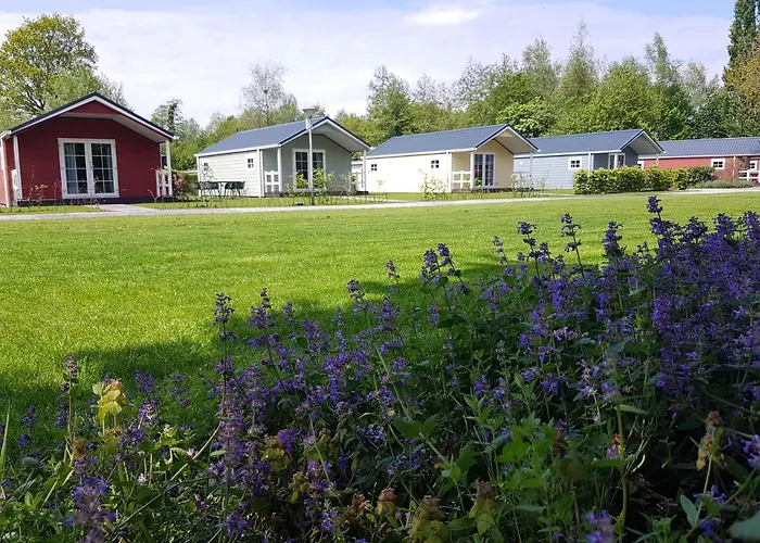 De Bijsselse Enk, Noors 18 * نونسبيت